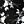 Black Ivory Floral