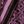 Mauve Orchid Mixed Geo