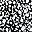 Black White Abstract