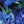 Blue Pink Floral