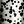 Dotted Contrast