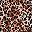 Natural Cheetah