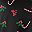 Black Mistletoe