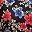 Black Multi Poppy