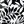 Black White Palms