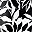 Black White Palms