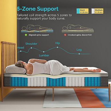 Serweet 14 Inch Memory Foam Hybrid Mattress Pocket Spring Mattress In A Box