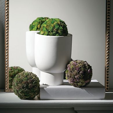 Sullivan's 3-pc. Colorful Sedum Orb Artificial Plant Set