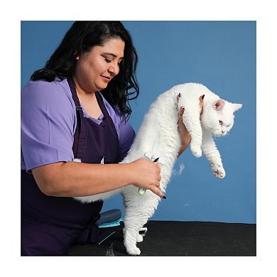 Fine-Tooth Deshedding Rake