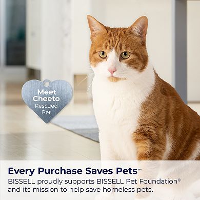 BISSELL Multi-Surface with Febreze Original Gain Cleaning Solution (64 Ounces)