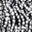 Black White Floral