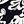 Floral Black Border