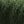 Deep Green