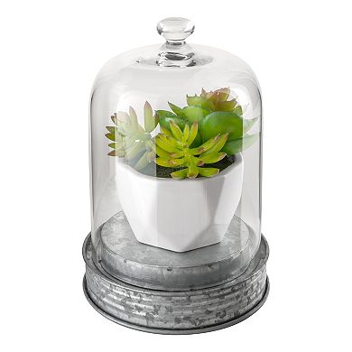 Artland Masonware Small Botanical Cloche Display