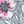 Navy Pink Floral