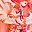 Sweet Coral Mixed