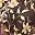 Chocolate Bloom Vine
