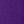 Radiant Purple Floral