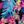 Black Multi Tropicana