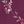 Deep Claret Floral