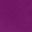 Purple Tulip