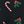 Black Mistletoe