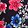 Black Multi Poppy