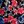 Black Multi Poppy