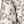 Ivory Leaf Print
