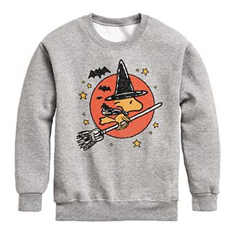 Boys 8-20 Peanuts Woodstock Witch Fleece Sweatshirt
