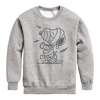 Boys 8-20 Peanuts Snoopy Mummy And Bats Fleece Sweatshirt