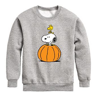 Boys 8-20 Peanuts Snoopy Woodstock Pumpkin Fleece Sweatshirt