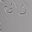 Damask Gray