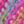 Pink Multi