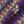 Purple Multi