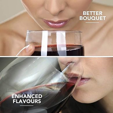 Final Touch L'grand Conundrum Aerator Wine Decanter