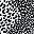 Black Animal Patchwork