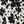 Black White Floral Mix