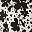 Black White Floral Mix