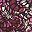 Deep Claret Multi