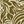 Moss Green Scroll