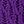 Radiant Purple