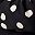 Black Ivory Scatter