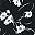 Black Tossed Floral