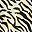 Ivory Sketch Zebra