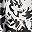 Black Abstract Floral