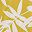 Golden Citrus Palm