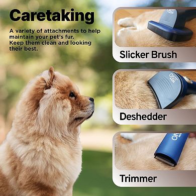 ONE Premium Pet Grooming Vacuum Kit & Dog Clippers & Dog Brush for Shedding