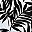 White Palm