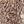 Neutral Animal Print